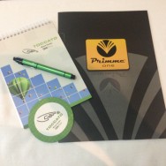 Workshop QlikView em Londrina. Realização: PrimmeOne (Ago/2014)